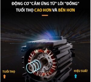 So s&aacute;nh motor từ với motor chổi than
