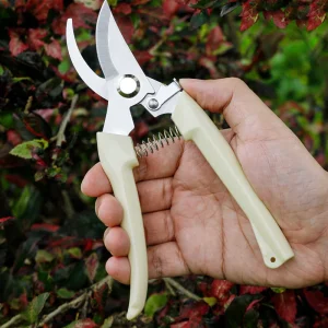 k&eacute;o cắt tỉa - Dungcuchinhhang.com